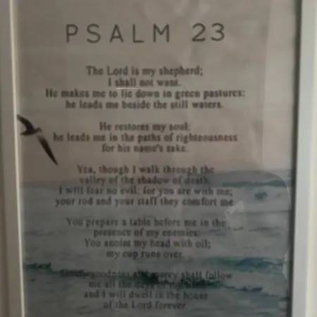 Psalm 23 * Savona